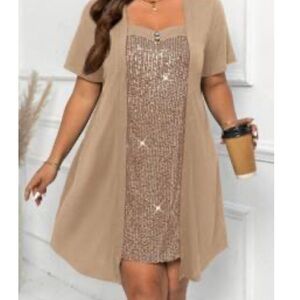 NWOT🔥Sparkling Tan Sequin Dress with Short Sleeves